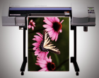 Full Colour Printing